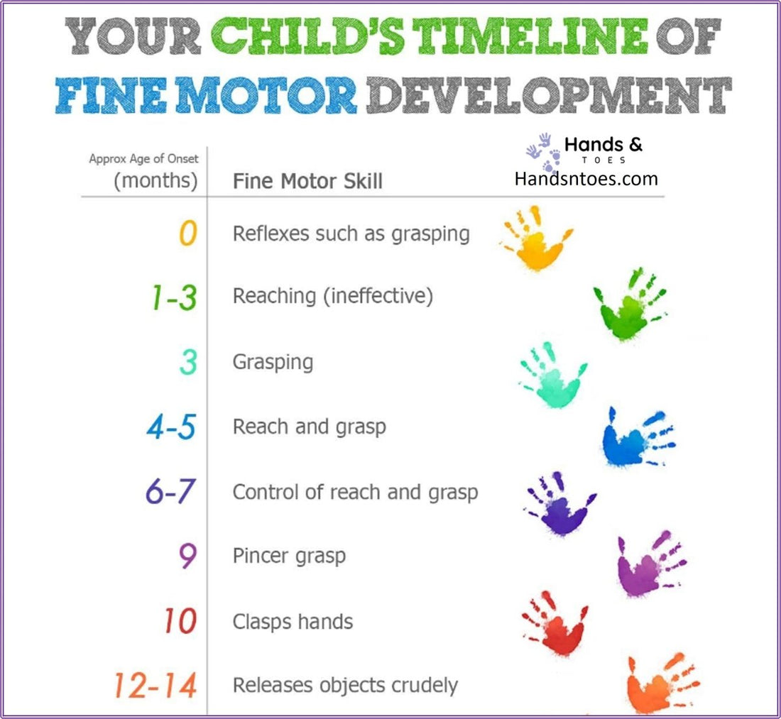 BABY MILESTONES: 4 MONTHS TO 1 YEAR: - Hands & Toes