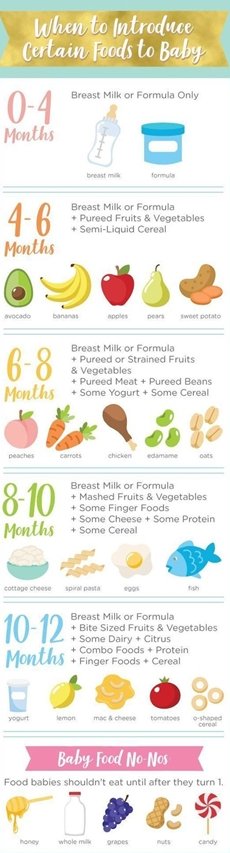 Introducing Baby to Solids and Feeding Schedule for Babies - Hands & Toes