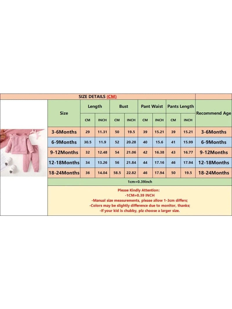 2PCS Infant Girl Clothes Set Solid Color Long Sleeves Sweatshirt Pants