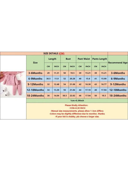 2PCS Infant Girl Clothes Set Solid Color Long Sleeves Sweatshirt Pants